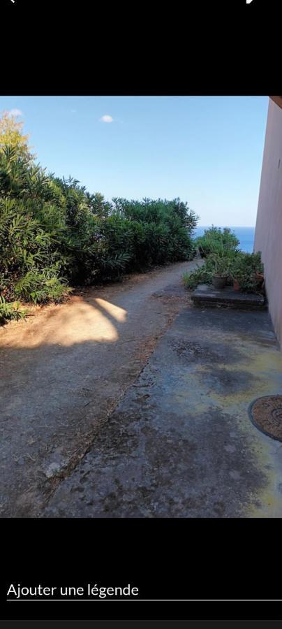 Studio Plage Santa-Maria-di-Lota Εξωτερικό φωτογραφία